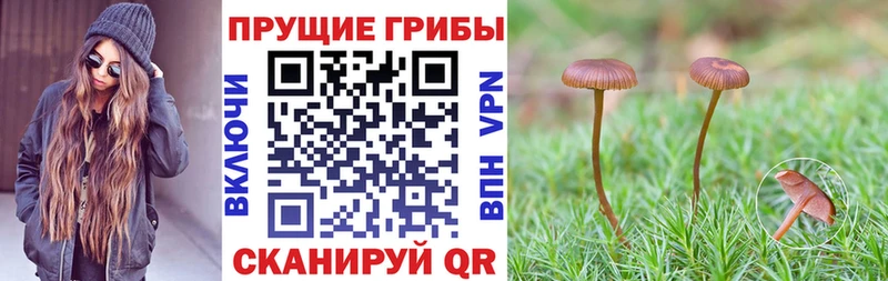 Псилоцибиновые грибы MAGIC MUSHROOMS Новочеркасск