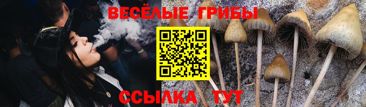 Галлюциногенные грибы Magic Shrooms Новочеркасск